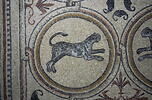Mosaïque de Qabr Hiram, image 20/65