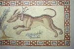 Mosaïque de Qabr Hiram, image 36/65