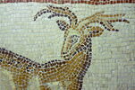 Mosaïque de Qabr Hiram, image 43/65