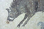 Mosaïque de Qabr Hiram, image 53/65