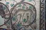 Mosaïque de Qabr Hiram, image 10/42