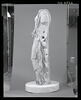 Aphrodite du type de l'