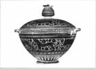 pyxis, image 7/10