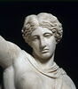 Amazone du type de 