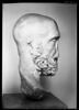 Portrait de l'empereur Pupien, image 10/11