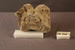 chéneau, image 2/3