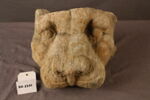 chéneau, image 2/2