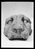 chéneau, image 1/2