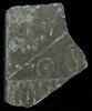 Stèle votive à Saturne (fragment), image 1/2