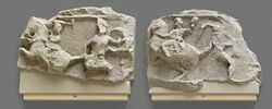 Frise du temple d'Artemis à Magnésie du Méandre, image 2/2