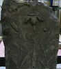 pilier, image 1/5