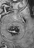 Trésor de Boscoreale : skyphos, image 20/26