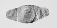 applique de vêtement, image 4/4