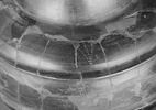 amphore, image 4/7