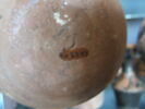 pot, image 2/2
