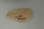 amphore, image 2/2