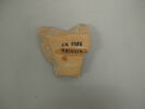 amphore, image 2/2