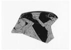 coupe, image 1/4