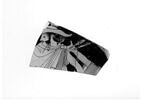 rhyton, image 3/3