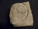 brique, image 1/3