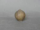 œnochoé, image 2/2