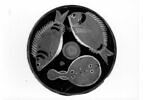 plat, image 3/4