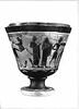 pyxis, image 2/3
