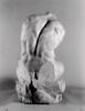 Tirage du torse du Belvédère, image 8/9