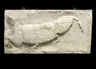 Tirage d’une plaque représentant un coq, image 1/2