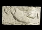 Tirage  d’une plaque représentant un coq, image 1/2