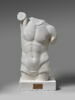 Tirage intégral d’un torse masculin, image 1/4