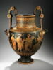 nestoris, image 2/4