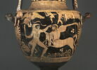 nestoris, image 6/14