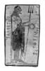 pinax, image 3/6
