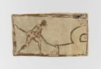 pinax, image 2/6