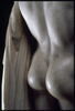 Marcellus, image 5/18