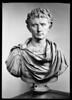 Buste d'Auguste, image 13/14