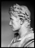 Buste d'Auguste, image 10/14