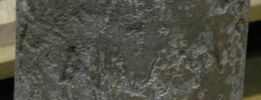 cippe, image 3/3