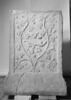 cippe, image 1/9