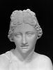 Nymphe à la coquille, image 10/21