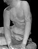 Nymphe à la coquille, image 15/21