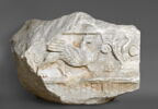 chapiteau de pilastre, image 1/2