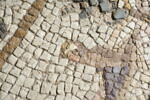 Mosaïque du jugement de Pâris, image 5/14