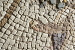Mosaïque du jugement de Pâris, image 6/14