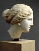 Tête d'Aphrodite du type de l'