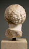 Tête d'Aphrodite du type de l'