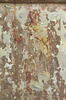 stèle funéraire ; plaque de loculus, image 2/7