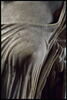 Aphrodite du type de 