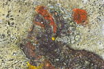 métope, image 5/10